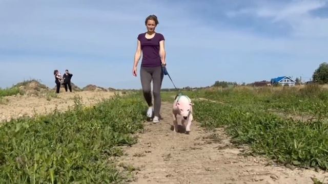 Тесс. Когда жажда к жизни сильнее смерти. смотреть онлайн