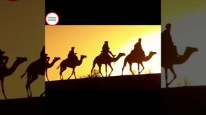 Салмони форсӣ чи касе буд❓ гӯш кунед гирятон меояд / Мавлави Мучибурахмони Ансори ва Хочи мирзо