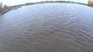 Рыбалка в Арктике! Поставил новую сетку НА СИГА по рыбьей тропе| НА БЕЛОМ МОРЕ! ОСЕНЬ