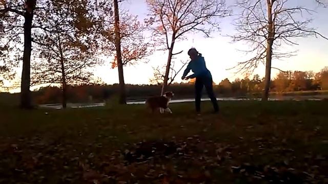 sekret ausbern aristokrat 4.5m