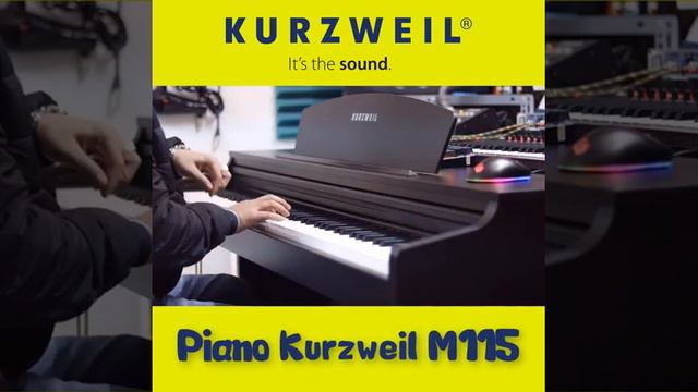Bến thượng hải - Piano cover - Piano Kurzweil M115 смотреть онлайн