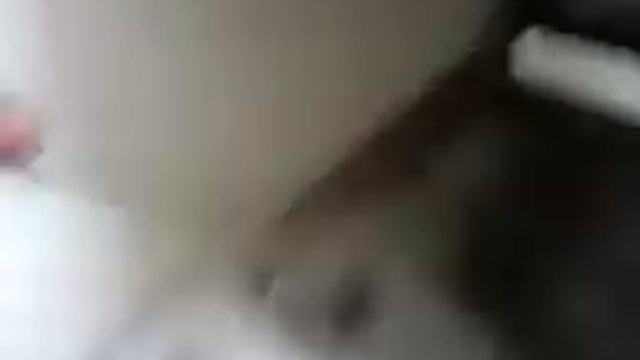 Zmywarka bosch( dishwasher ) смотреть онлайн