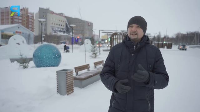 Ненецкая лайка. Помощник оленеводов Крайнего Севера