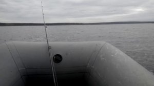 Viking VN-320 & Mercury 10M