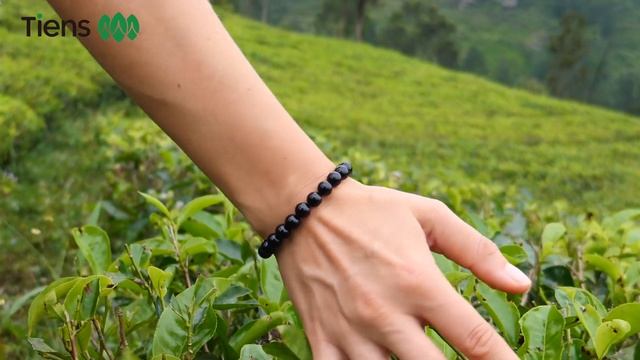 Чай Тяньши Тьен Фэн Ча смотреть онлайн