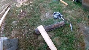Деревянная дверь+коробка