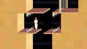 Prince of Persia 1: Hidden levels - Level 11