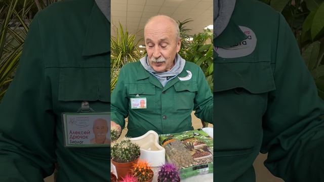 Правила ухода и пересадки кактуса?