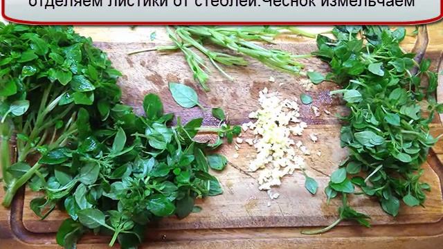 Сицилийский соус песто смотреть онлайн