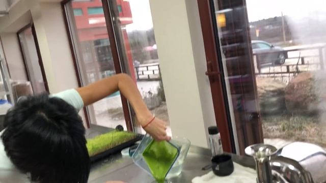 Витграсс в Этномире смотреть онлайн