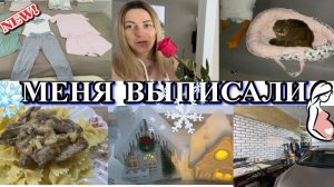 VLOG: меня ВЫПИСАЛИ/Новогодние ПОКУПКИ/много ПИЖАМ для дома/покрасил ГАРАЖ/ДЕКРЕТНЫЕ БУДНИ