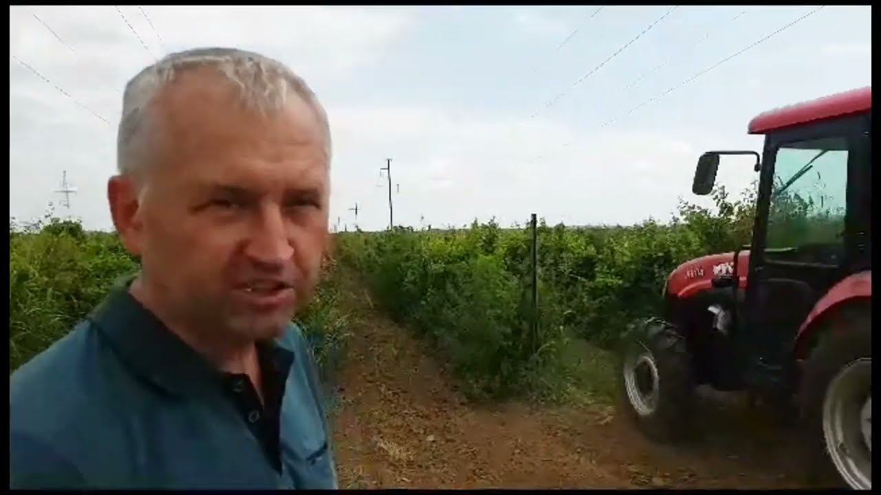 ЧТО ЗА ТАНК ЭТОТ ТРАКТОР!? испытания садового YTO 804 смотреть онлайн