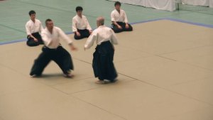 Akira Wada - 56th All Japan Aikido Demonstration 2018