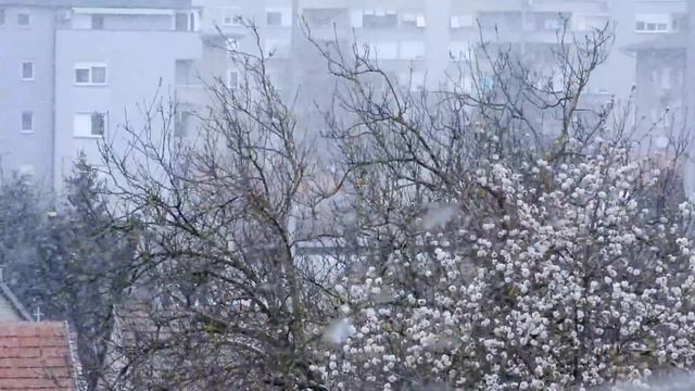 Семья Тарантиных/ Настя,зачем ты так с мужем? смотреть онлайн