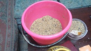 Вечернее кормление кур. Кого отсаживаем./ Evening feeding of chickens.  Cooking whom we will clean.