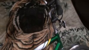 Обзор велосипеда Stels navigator 300!