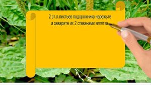 #Омолодить лицо в домашних условиях/#подорожник / Омолаживающие маски для лица из подорожника