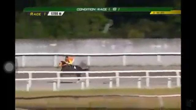 PALMA DEL MALLORCA RACE 1 FEBRUARY 18, 2020 смотреть онлайн