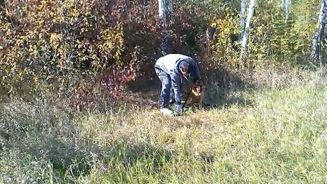н\о Рольф .охрана предмета \начало обучения\ .тренинг 7.10.23 смотреть онлайн