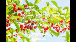 Михаил Исаковский "Все равно я вишню посажу"  душевные стихи