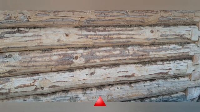 Как купить сруб? Советы от продавца срубов