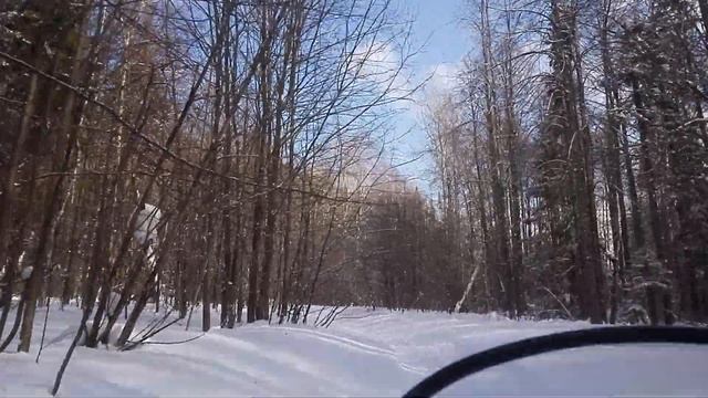 Лесная поездка на Избу смотреть онлайн