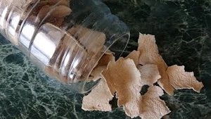 Восстановление ржаной закваски.