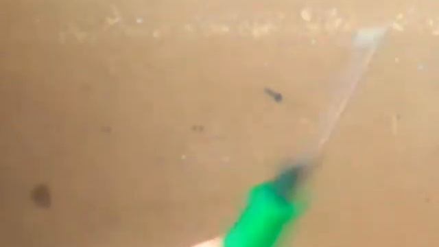 Как прикрутить саморез к стене смотреть онлайн