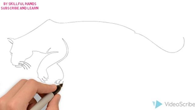 How to Draw a Black Panther / Как нарисовать Пантеру смотреть онлайн