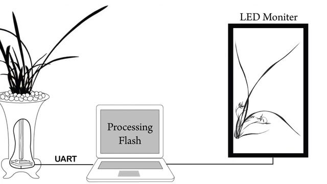 Interactive Oriental Orchid read with the spirit and mind смотреть онлайн