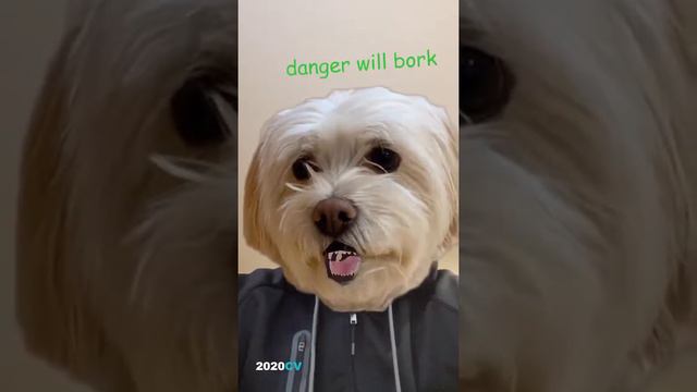 Doggy Face Filter- Get the best AR lenses for Snapchat on Catchar