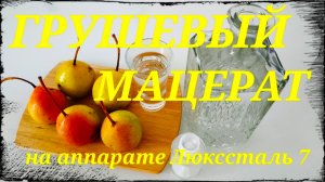 Грушевый мацерат. Мацерат из груши на аппарате Люкссталь 7.