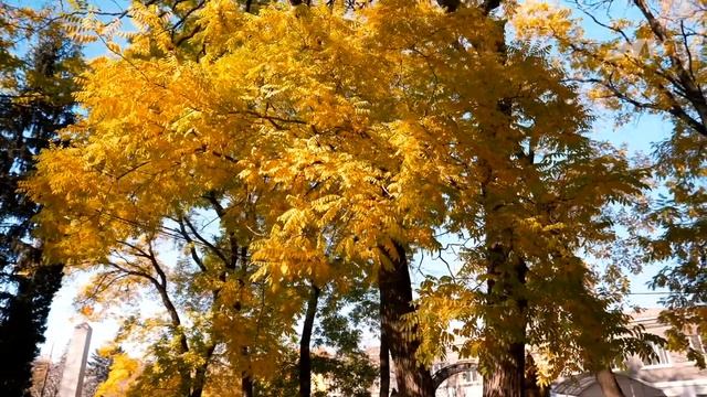 В. Носов - Кубанские станицы