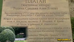 "Нижняя Ореанда". Крым. Ялта