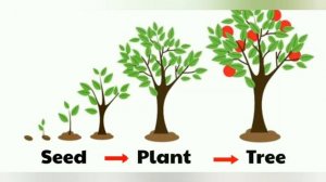 living things and nonliving things | Living and non living things for kids | Living and non living