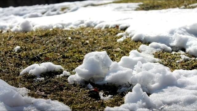 Почвы России сформированы катастрофическими процессами!