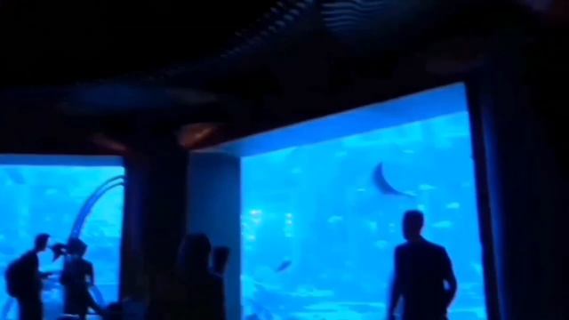 ТОП лучших мест в Дубае для идеального отдыха
