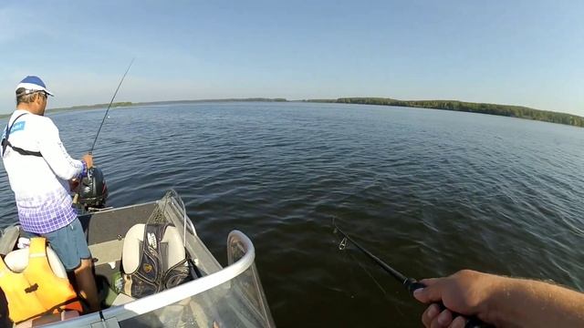 Зарисовка с рыбалки, Волжский Хищник 2019 смотреть онлайн