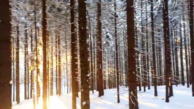 #медитации #meditation #relax #forest Релакс ,музыка для медитации , йога, пробуждение от сна.. смотреть онлайн