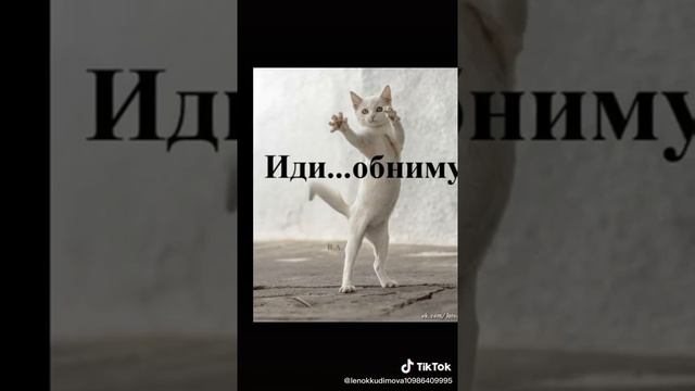 Счастья и здоровья Вам. Видео из Тик Ток.