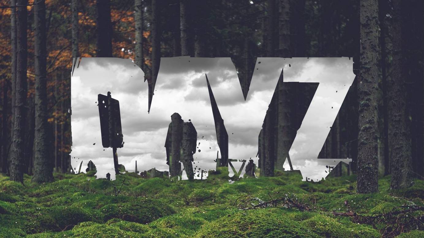 Играем в DAYZ Сервер Destiny Project Game Studio l PvE l DeerIsle l RU