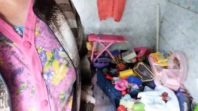 В подмосковье пошли грибы