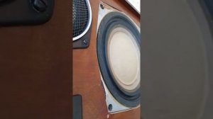 Radiotehnika s90 bass test on 160w amp  20% vol.
