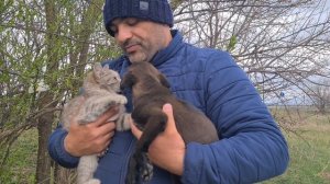 Уникальный случай/Коробка из под бананов стала для щенка и кошки родным домом/Беда их сплотила
