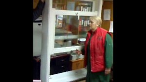 Английское окно