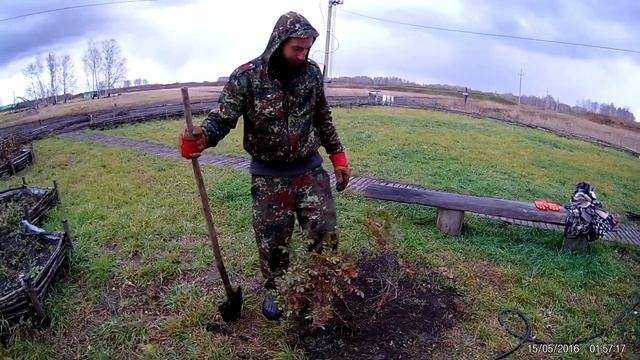 Сажаем куст Шиповника Азъ Градъ 19.10.2018г
