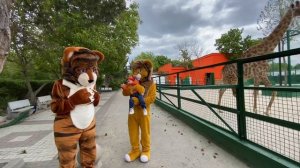 Что любят КУШАТЬ ЖИРАФЫ ?!