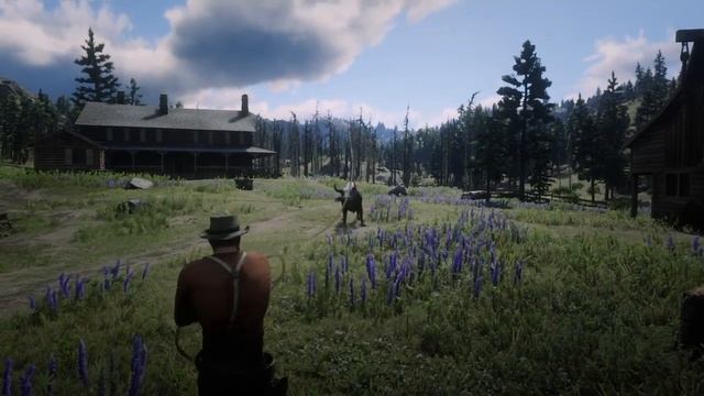 Самый злой бык в RDR2 смотреть онлайн