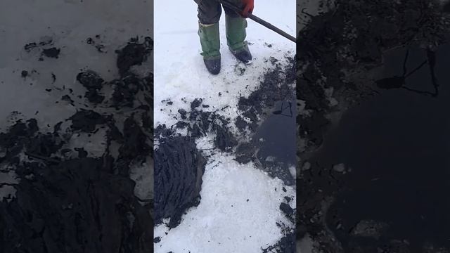 Мотыль для рыбалки моем Мотыля Зимняя рыбалка На ставке