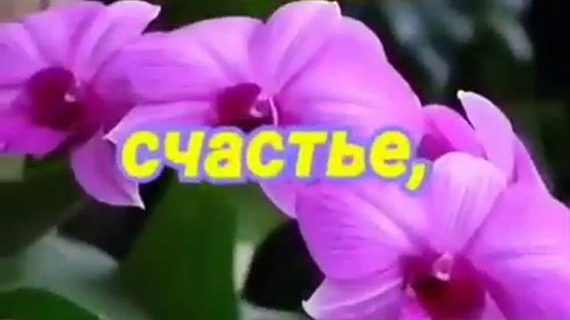 #магическая мантра #всем добра
